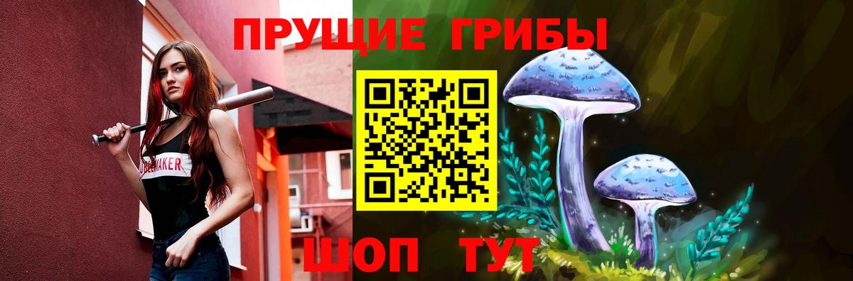 как найти закладки  Псилоцибиновые грибы MAGIC MUSHROOMS  Вход с VPN  Вышний Волочёк 