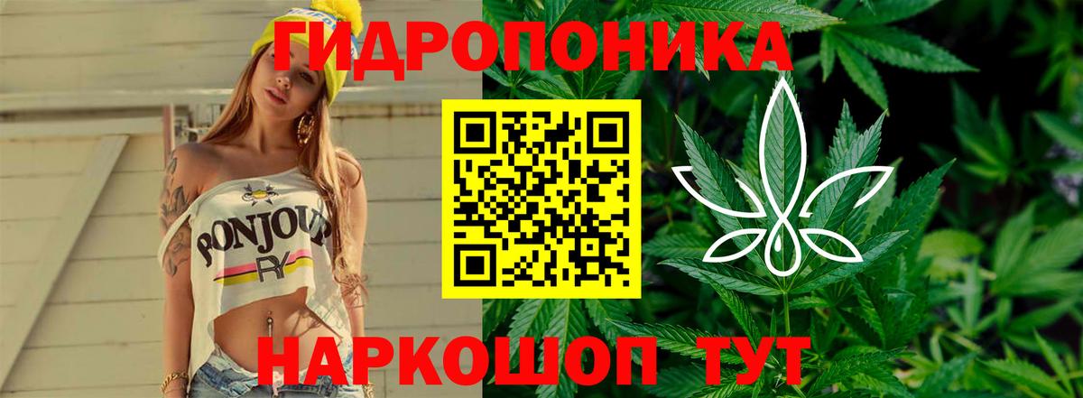МАРИХУАНА Ganja Вышний Волочёк