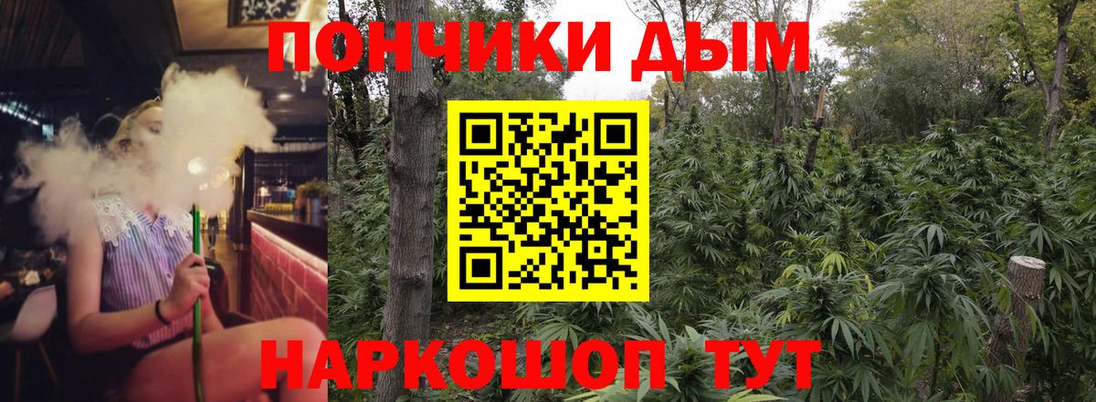 Канабис ГИДРОПОН  Вход с VPN  Вышний Волочёк  Бошки Шишки AK-47 